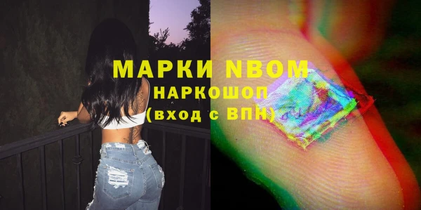 спайс Аша